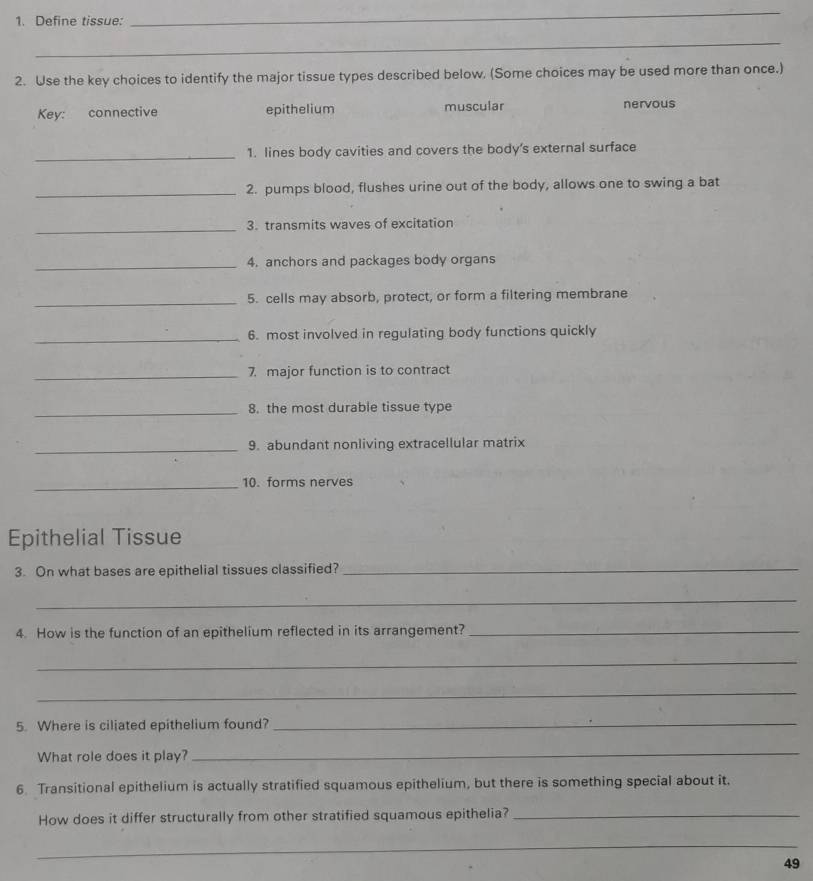 Define tissue:
_
_
2. Use the key choices to identify the major tissue types described below. (Some choices may be used more than once.)
Key: connective epithelium muscular nervous
_1. lines body cavities and covers the body's external surface
_2. pumps blood, flushes urine out of the body, allows one to swing a bat
_3. transmits waves of excitation
_4. anchors and packages body organs
_5. cells may absorb, protect, or form a filtering membrane
_6. most involved in regulating body functions quickly
_7 major function is to contract
_8. the most durable tissue type
_9. abundant nonliving extracellular matrix
_10. forms nerves
Epithelial Tissue
3. On what bases are epithelial tissues classified?_
_
4. How is the function of an epithelium reflected in its arrangement?_
_
_
5. Where is ciliated epithelium found?_
What role does it play?
_
6. Transitional epithelium is actually stratified squamous epithelium, but there is something special about it.
How does it differ structurally from other stratified squamous epithelia?_
_
49