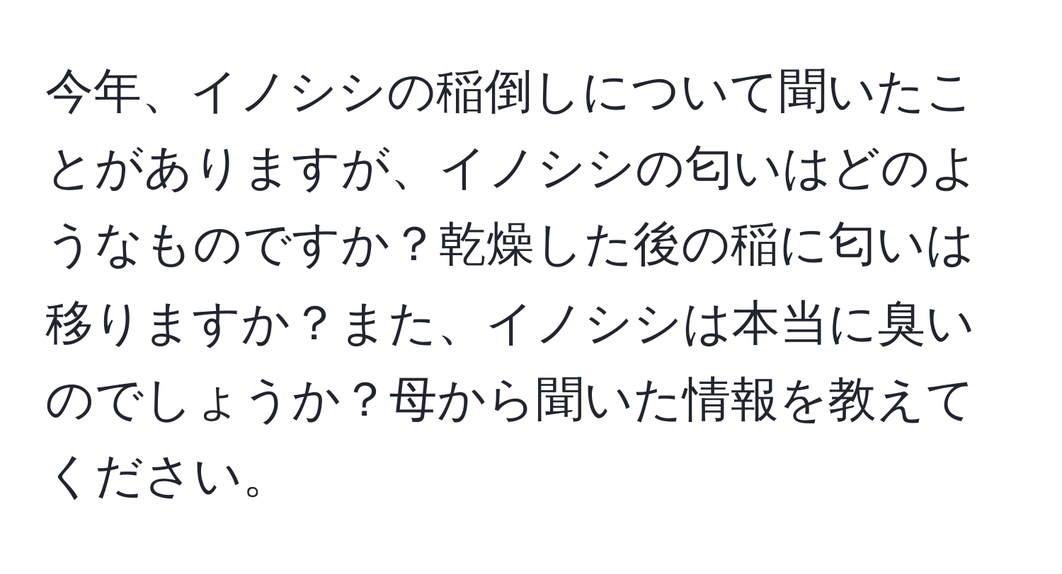 今年、イノシシの稲倒しについて聞いたことがありますが、イノシシの匂いはどのようなものですか？乾燥した後の稲に匂いは移りますか？また、イノシシは本当に臭いのでしょうか？母から聞いた情報を教えてください。