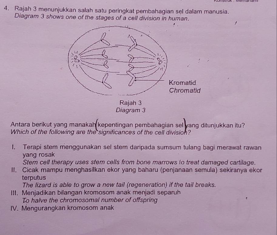 Rajah 3 menunjukkan salah satu peringkat pembahagian sel dalam manusia.
Diagram 3 shows one of the stages of a cell division in human.
Antara berikut yang manakah kepentingan pembahagian sel yang ditunjukkan itu?
Which of the following are the significances of the cell division?
1. Terapi stem menggunakan sel stem daripada sumsum tulang bagi merawat rawan
yang rosak
Stem cell therapy uses stem cells from bone marrows to treat damaged cartilage.
II. Cicak mampu menghasilkan ekor yang baharu (penjanaan semula) sekiranya ekor
terputus
The lizard is able to grow a new tail (regeneration) if the tail breaks.
III. Menjadikan bilangan kromosom anak menjadi separuh
To halve the chromosomal number of offspring
IV. Mengurangkan kromosom anak