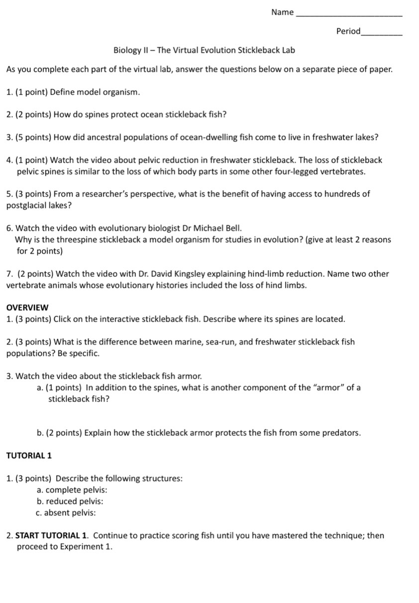 Name_ 
Period_ 
Biology II - The Virtual Evolution Stickleback Lab 
As you complete each part of the virtual lab, answer the questions below on a separate piece of paper. 
1. (1 point) Define model organism. 
2. (2 points) How do spines protect ocean stickleback fish? 
3. (5 points) How did ancestral populations of ocean-dwelling fish come to live in freshwater lakes? 
4. (1 point) Watch the video about pelvic reduction in freshwater stickleback. The loss of stickleback 
pelvic spines is similar to the loss of which body parts in some other four-legged vertebrates. 
5. (3 points) From a researcher’s perspective, what is the benefit of having access to hundreds of 
postglacial lakes? 
6. Watch the video with evolutionary biologist Dr Michael Bell. 
Why is the threespine stickleback a model organism for studies in evolution? (give at least 2 reasons 
for 2 points) 
7. (2 points) Watch the video with Dr. David Kingsley explaining hind-limb reduction. Name two other 
vertebrate animals whose evolutionary histories included the loss of hind limbs. 
OVERVIEW 
1. (3 points) Click on the interactive stickleback fish. Describe where its spines are located. 
2. (3 points) What is the difference between marine, sea-run, and freshwater stickleback fish 
populations? Be specific. 
3. Watch the video about the stickleback fish armor. 
a. (1 points) In addition to the spines, what is another component of the “armor” of a 
stickleback fish? 
b. (2 points) Explain how the stickleback armor protects the fish from some predators. 
TUTORIAL 1 
1. (3 points) Describe the following structures: 
a. complete pelvis: 
b. reduced pelvis: 
c. absent pelvis: 
2. START TUTORIAL 1. Continue to practice scoring fish until you have mastered the technique; then 
proceed to Experiment 1.