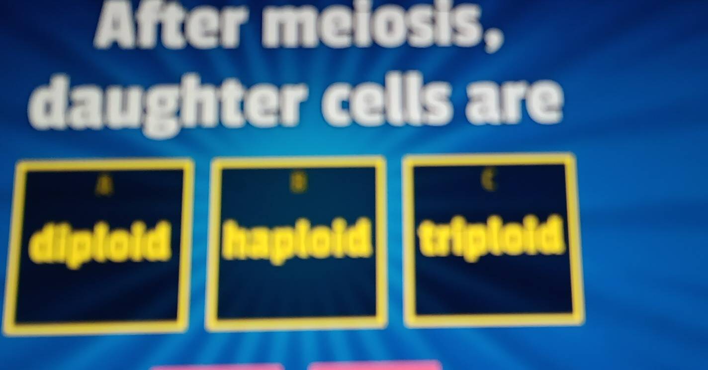 After melosis, 
daughter cells are 
diploid