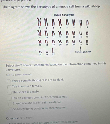 The diagram shows the karyotype of a muscle cell from a wild sheep.
Select the 3 correct statements based on the information contained in this
karyotype.
Select 3 correct answer(s)
Sheep somatic (body) cells are haploid.
The sheep is a female.
The sheep is a male.
Sheep gametes contain 27 chromosomes
Sheep somatic (body) cells are diploid
Sheep gametes contain 26 chromosomes
Question 3 (1 point)
at akes the nn es or stens of the DNA mor c a