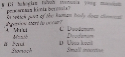 Di bahagian tubub manusia yang manakan
pencernaan kimía bermula?
In which part of the human bady daes chemical.
digestion start to occur?
A Mulut C Ducdenum
Mouth Duadenum
B Perut D Usus kecil
Stomach Smalll intestine