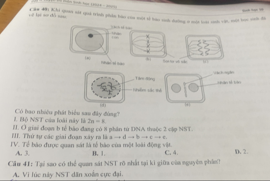 Nện thị môn Sinh học (2024 - 2025)
Sinh học 10
Câu 40: Khi quan sát quá trình phần bảo của một tế bảo sinh dưỡng ở một loài sinh vật, một học sinh đã
vẽ lại sơ đồ sau:
Vàch tế bào
Nhâ
con
(a) 
Nhân tế b
Vách ngần
Nhân tế bào
(e)
Có bao nhiêu phát biểu sau đây đúng?
I. Bộ NST của loài này là 2n=8. 
II. Ở giai đoạn b tế bảo đang có 8 phân tử DNA thuộc 2 cặp NST.
III. Thứ tự các giai đoạn xảy ra là a to dto bto cto c.
IV. Tế bảo được quan sát là tế bảo của một loài động vật.
A. 3. B. 1. C. 4. D. 2.
Câu 41: Tại sao có thể quan sát NST rõ nhất tại kì giữa của nguyên phân?
A. Vì lúc này NST dãn xoắn cực đại.