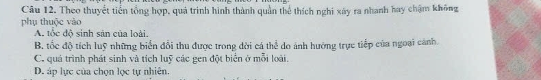 Theo thuyết tiến tổng hợp, quá trình hình thành quần thể thích nghi xảy ra nhanh hay chậm không
phụ thuộc vào
A. tốc độ sinh sản của loài.
B. tốc độ tích luỹ những biến đổi thu được trong đời cá thể do ảnh hưởng trực tiếp của ngoại cảnh.
C. quá trình phát sinh và tích luỹ các gen đột biển ở mỗi loài.
D. áp lực của chọn lọc tự nhiên.