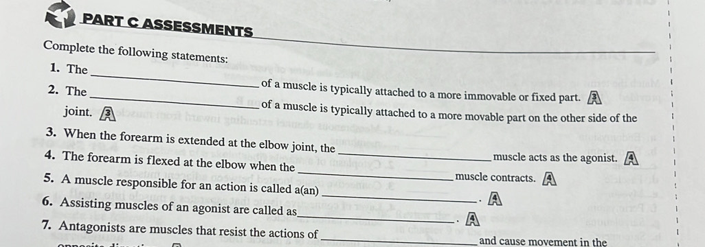 ASSESSMENTS 
Complete the following statements: 
1. The 
2. The 
_ 
_of a muscle is typically attached to a more immovable or fixed part. 
joint. 
of a muscle is typically attached to a more movable part on the other side of the 
3. When the forearm is extended at the elbow joint, the 
muscle acts as the agonist. 
4. The forearm is flexed at the elbow when the __muscle contracts. 
5. A muscle responsible for an action is called a(an) _. 
6. Assisting muscles of an agonist are called as_ . 
7. Antagonists are muscles that resist the actions of 
_ 
and cause movement in the