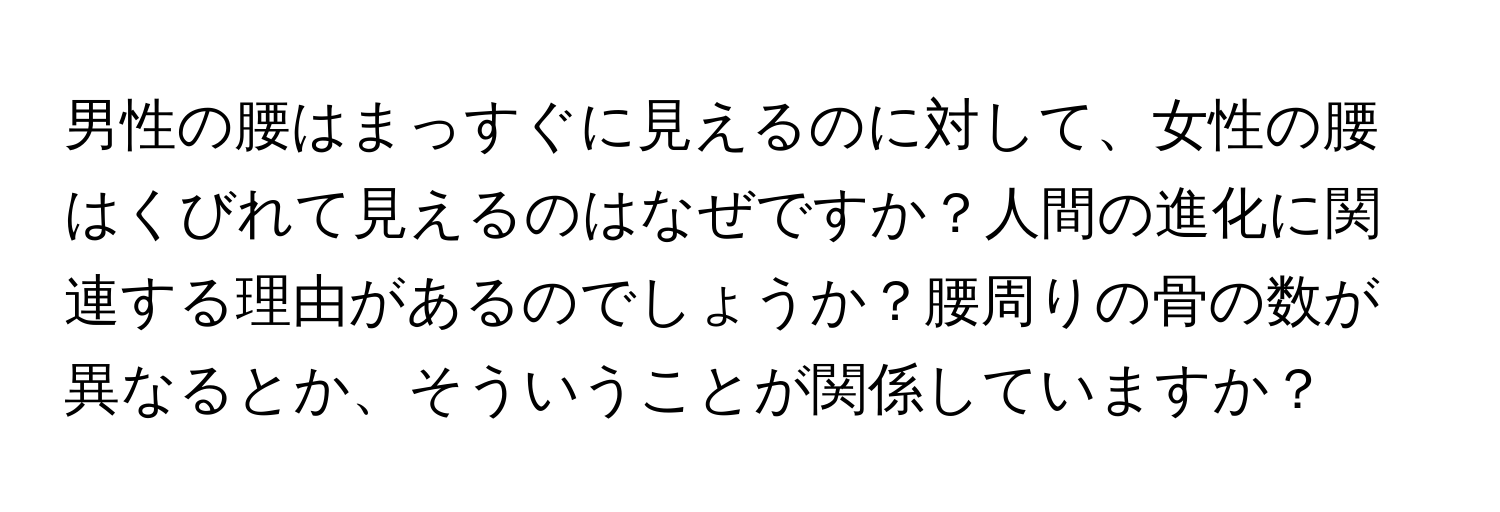 男性の腰はまっすぐに見えるのに対して、女性の腰はくびれて見えるのはなぜですか？人間の進化に関連する理由があるのでしょうか？腰周りの骨の数が異なるとか、そういうことが関係していますか？