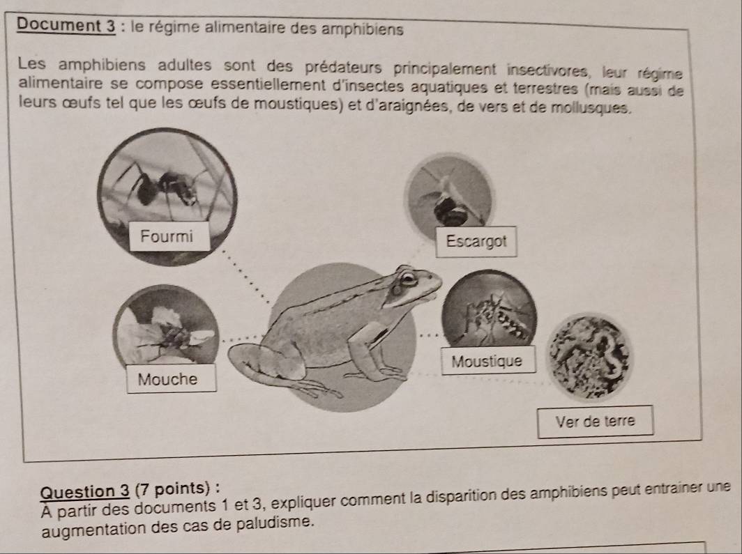 Document 3 : le régime alimentaire des amphibiens 
Les amphibiens adultes sont des prédateurs principalement insectivores, leur régime 
alimentaire se compose essentiellement d'insectes aquatiques et terrestres (mais aussi de 
leurs œufs tel que les œufs de moustiques) et d'araignées, de vers et de mollusques. 
Question 3 (7 points) : 
À partir des documents 1 et 3, expliquer comment la disparition des amphibiens peut entrainer une 
augmentation des cas de paludisme.