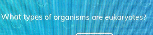 What types of organisms are eukaryotes?