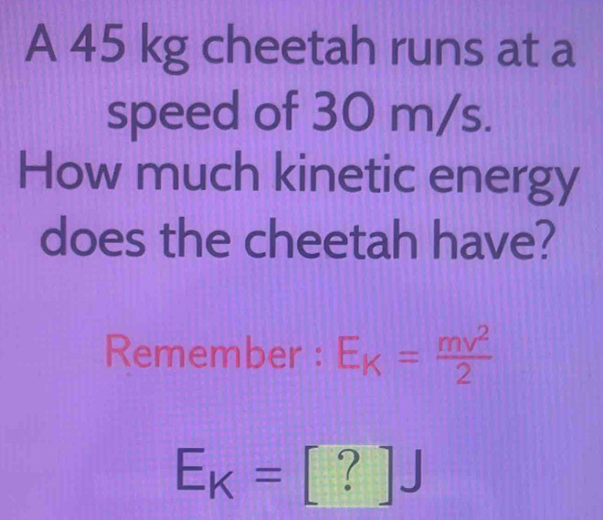 A 45 kg cheetah runs at a 
speed of 30 m/s. 
How much kinetic energy 
does the cheetah have? 
Remember : E_K= mv^2/2 
E_K= [ ? ]