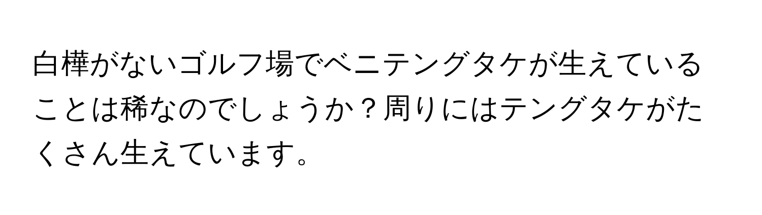 白樺がないゴルフ場でベニテングタケが生えていることは稀なのでしょうか？周りにはテングタケがたくさん生えています。