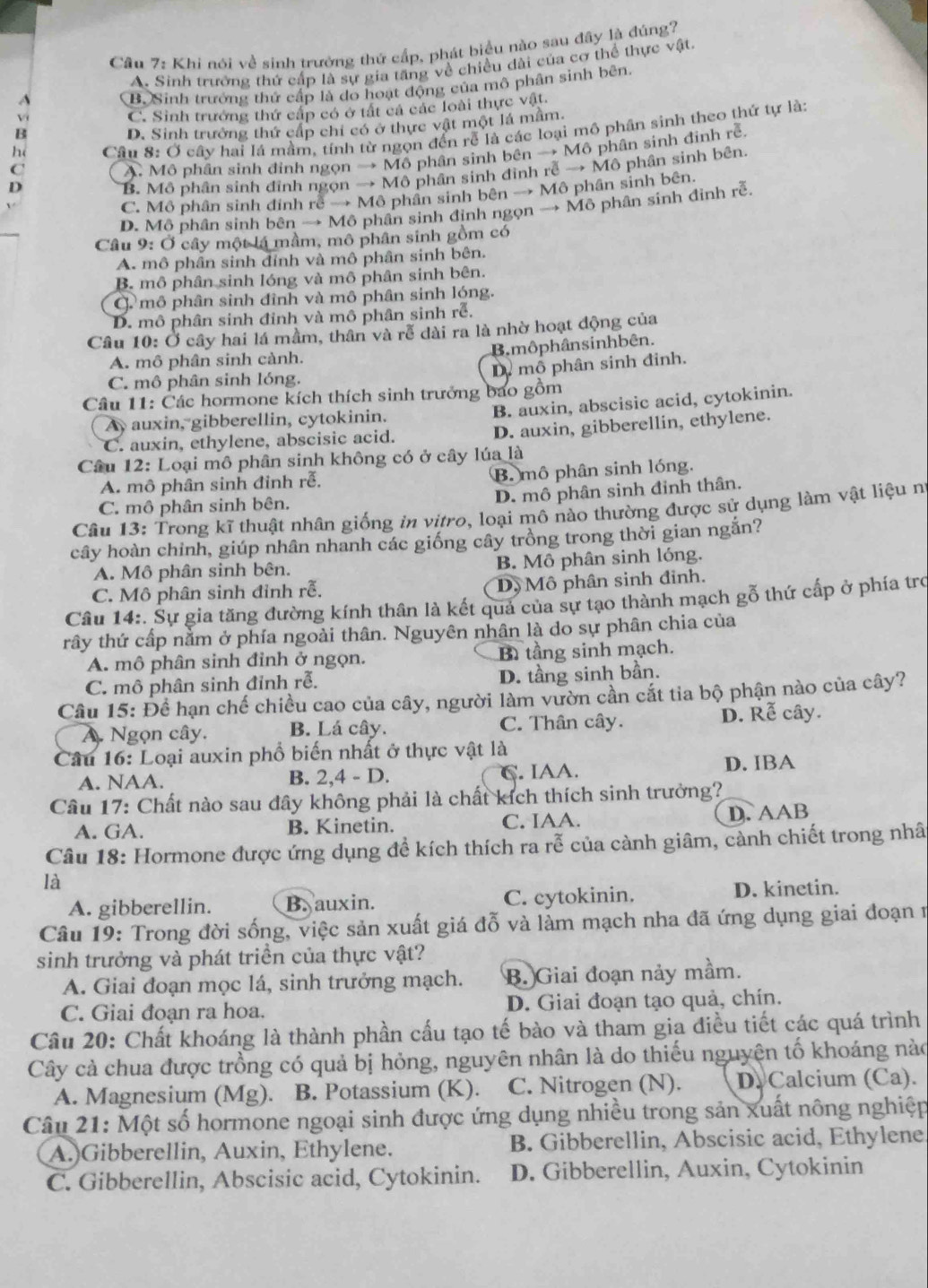 Cầu 7: Khi nói về sinh trưởng thứ cấp, phát biểu nào sau đây là đúng?
A. Sinh trưởng thứ cấp là sự gia tăng về chiều dài của cơ thể thực vật.
A (B.Sinh trưởng thứ cấp là do hoạt động của mô phân sinh bên.
V
C. Sinh trưởng thứ cấp có ở tất cá các loài thực vật.
B
D. Sinh trưởng thứ cấp chỉ có ở thực vật một lá mẫm.
C  Cầu 8: Ở cây hai lá mầm, tính từ ngọn đến rễ là các loại mô phân sinh theo thứ tự là:
h(
A. Mô phân sinh đỉnh ngọn → Mô phân sinh bên → Mô phân sinh đinh rễ
D
B. Mô phân sinh đỉnh ngọn → Mô phân sinh đình rễ → Mô phân sinh bên
C. Mô phân sinh đinh rễ → Mô phân sinh bên → Mô phân sinh bên.
D. Mô phân sinh bên → Mô phân sinh định ngọn → Mô phân sinh đinh rễ.
Câu 9: Ở cây một lá mầm, mô phân sinh gồm có
A. mô phân sinh đỉnh và mô phân sinh bên.
B. mô phân sinh lóng và mô phân sinh bên.
G mô phân sinh đỉnh và mô phân sinh lóng.
D. mô phân sinh đỉnh và mô phân sinh rễ.
Câu 10: Ở cây hai lá mầm, thân và rễ dài ra là nhờ hoạt động của
B. môphânsinhbên.
A. mô phân sinh cành.
C. mô phân sinh lóng. Dể mộ phân sinh đinh.
Câu 11: Các hormone kích thích sinh trưởng bao gồm
Ay auxin, gibberellin, cytokinin.
B. auxin, abscisic acid, cytokinin.
C. auxin, ethylene, abscisic acid. D. auxin, gibberellin, ethylene.
Câu 12: Loại mô phân sinh không có ở cây lúa là
A. mô phân sinh đinh rễ. B. mô phân sinh lóng.
C. mô phân sinh bên,
D. mô phân sinh đỉnh thân.
Câu 13: Trong kĩ thuật nhân giống in vitro, loại mô nào thường được sử dụng làm vật liệu nữ
cây hoàn chinh, giúp nhân nhanh các giống cây trồng trong thời gian ngắn?
A. Mô phân sinh bên. B. Mô phân sinh lóng.
C. Mô phân sinh đỉnh rễ. Dộ Mô phân sinh đinh.
Câu 14:. Sự gia tăng đường kính thân là kết quả của sự tạo thành mạch gỗ thứ cấp ở phía trợ
rây thứ cấp nằm ở phía ngoài thân. Nguyên nhân là do sự phân chia của
A. mô phân sinh đỉnh ở ngọn. B tầng sinh mạch.
C. mô phân sinh đỉnh rễ. D. tầng sinh bần.
Câu 15: Đề hạn chế chiều cao của cây, người làm vườn cần cắt tia bộ phận nào của cây?
A. Ngọn cây. B. Lá cây. C. Thân cây. D. Rễ cây.
Câu 16: Loại auxin phổ biến nhất ở thực vật là
A. NAA. 2,4-D. C. IAA. D. IBA
B. .
Câu 17: Chất nào sau đây không phải là chất kích thích sinh trưởng?
A. GA. B. Kinetin. C. IAA. D. AAB
Câu 18: Hormone được ứng dụng để kích thích ra rễ của cành giâm, cảnh chiết trong nhâ
là
A. gibberellin. B. auxin. C. cytokinin. D. kinetin.
Câu 19: Trong đời sống, việc sản xuất giá đỗ và làm mạch nha đã ứng dụng giai đoạn n
sinh trưởng và phát triển của thực vật?
A. Giai đoạn mọc lá, sinh trưởng mạch. B. Giai đoạn nảy mầm.
C. Giai đoạn ra hoa. D. Giai đoạn tạo quả, chín.
Câu 20: Chất khoáng là thành phần cấu tạo tế bào và tham gia điều tiết các quá trình
Cây cả chua được trồng có quả bị hỏng, nguyên nhân là do thiếu nguyên tố khoáng nào
A. Magnesium (Mg). B. Potassium (K). C. Nitrogen (N). D. Calcium (Ca).
Câu 21: Một số hormone ngoại sinh được ứng dụng nhiều trong sản xuất nông nghiệp
A.)Gibberellin, Auxin, Ethylene. B. Gibberellin, Abscisic acid, Ethylene
C. Gibberellin, Abscisic acid, Cytokinin. D. Gibberellin, Auxin, Cytokinin