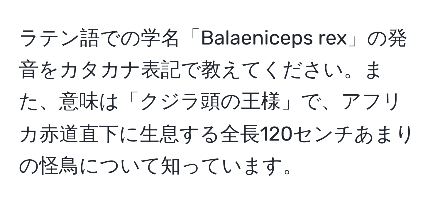 ラテン語での学名「Balaeniceps rex」の発音をカタカナ表記で教えてください。また、意味は「クジラ頭の王様」で、アフリカ赤道直下に生息する全長120センチあまりの怪鳥について知っています。