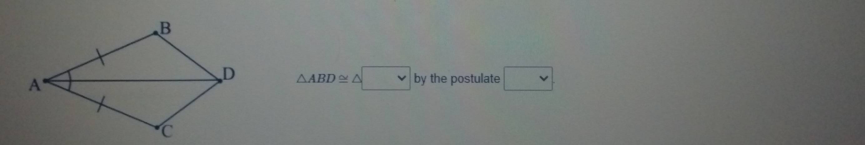 △ ABD≌ △ □ by the postulate □