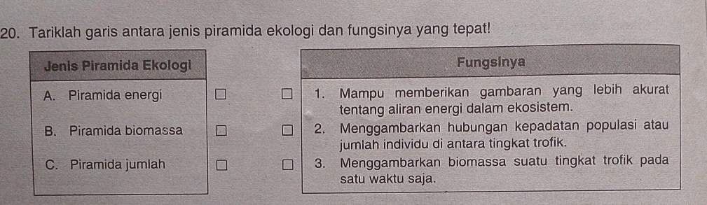 Tariklah garis antara jenis piramida ekologi dan fungsinya yang tepat!
Jenis Piramida Ekologi
A. Piramida energi
B. Piramida biomassa
C. Piramida jumlah