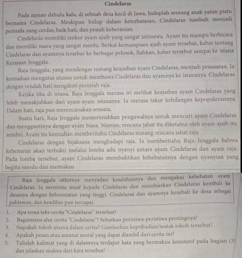 Cindelaras
Pada zaman dahulu kala, di sebuah desa kecil di Jawa, hiduplah seorang anak yatim piatu
bernama Cindelaras. Meskipun hidup dalam keterbatasan, Cindelaras tumbuh menjadi
pemuda yang cerdas, baik hati, dan penuh keberanian.
Cindelarås memiliki seekor ayam ajaib yang sangat istimewa. Ayam itu mampu berbicara
dan memiliki suara yang sangat merdu. Berkat kemampuan ajaib ayam tersebut, kabar tentang
Cindelaras dan ayamnya tersebar ke berbagai pelosok. Bahkan, kabar tersebut sampai ke istana
Kerajaan Jenggala.
Raja Jenggala, yang mendengar tentang keajaiban ayam Cindelaras, menjadi penasaran. Ia
kemudian mengutus utusan untuk membawa Cindelaras dan ayamnya ke istananya. Cindelaras
dengan rendah hati mengikuti perintah raja.
Ketika tiba di istana, Raja Jenggala merasa iri melihat keajaiban ayam Cindelaras yang
lebih menakjubkan dari ayam-ayam istananya. Ia merasa takut kehilangan kepopulerannya.
Dalam hati, raja pun merencanakan sesuatu.
Suatu hari, Raja Jenggala memerintahkan pengawalnya untuk mencuri ayam Cindelaras
dan menggantinya dengan ayam biasa. Namun, rencana jahat itu diketahui oleh ayam ajaib itu
sendiri. Ayam itu kemudian memberitahu Cindelaras tentang rencana jahat raja
Cindelaras dengan bijaksana menghadapi raja. Ia memberitahu Raja Jenggala bahwa
kebenaran akan terbukti melalui lomba adu nyanyi antara ayam Cindelaras dan ayam raja.
Pada lomba tersebut, ayam Cindelaras membuktikan kehebatannya dengan nyanyian yang
begitu merdu dan memukau
Raja Jenggala akhirnya menyadari kesalahannya dan mengakui kehebatan ayam
Cindelaras. la meminta maaf kepada Cindelaras dan membiarkan Cindelaras kembali ke
desanya dengan kehormatan yang tinggi. Cindelaras dan ayamnya kembali ke desa sebagai
pahlawan, dan keadilan pun tercapai.
1. Apa tema teks cerita ''Cindelaras'' tersebut?
2. Bagaimana alur cerita ''Cindelaras''? Sebutkan peristiwa-peristiwa pentingnya!
3. Siapakah tokoh utama dalam cerita? Gambarkan kepribadian/watak tokoh tersebut!
4. Apakah pesan atau amanat moral yang dapat diambil dari cerita ini?
5. Tulislah kalimat yang di dalamnya terdapat kata yang bermakna konotatif pada bagian (3)
dan jelaskan makna dari kata tersebut!