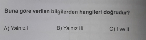 Buna göre verilen bilgilerden hangileri doğrudur?
A) Yalnız I B) Yalnız III C)I veⅡ