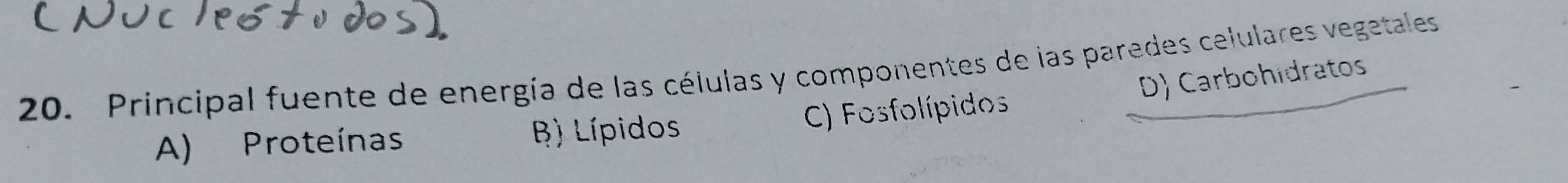 Principal fuente de energía de las células y componentes de las paredes celulares vegetales
D) Carbohidratos
A) Proteínas B) Lípidos C) Fosfolípidos