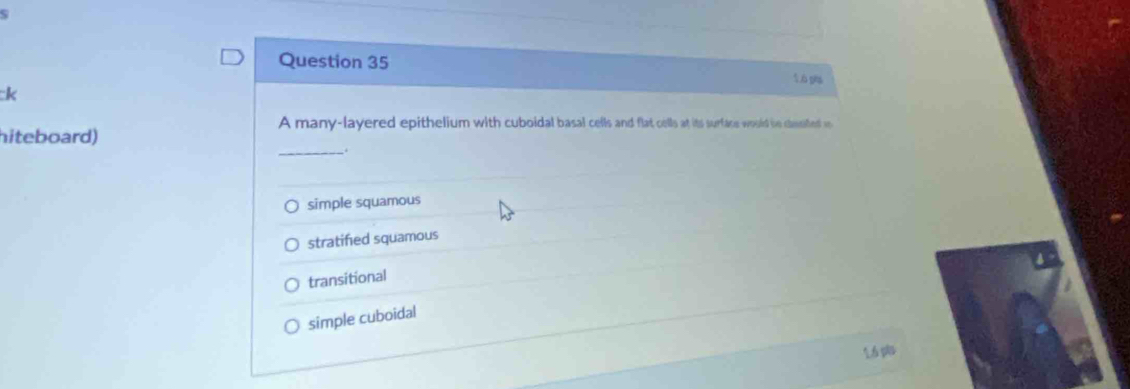 ς
Question 35 L ó pha
k
A many-layered epithelium with cuboidal basal cells and flat cells at its surface would be chasiffed t
hiteboard)
_.
simple squamous
stratified squamous
transitional
simple cuboidal
1.6 pls