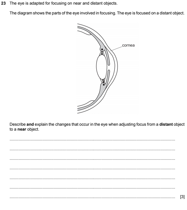 Solved: The eye is adapted for focusing on near and distant objects ...