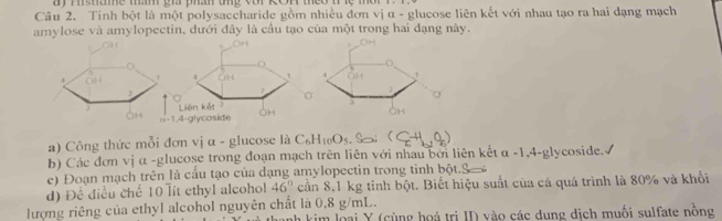 mhme mam bh phah thd vat kon theo tle mo r 
Câu 2. Tinh bột là một polysaccharide gồm nhiều đơn vị α - glucose liên kết với nhau tạo ra hai đạng mạch 
amylose và amylopectin, dưới đây là cầu tạo của một trong hai đạng này. 
1 
J 
2 
Liên kết
ai-1,4=a lycoside 
a) Công thức mỗi đơn vị α - glucose là C_6H_10O_5
b) Các đơn vị α -glucose trong đoạn mạch trên liên với nhau bởi liên kết α -1,4-glycoside.- 
e) Đoạn mạch trên là cầu tạo của đạng amylopectin trong tinh bột.9 
d) Để điều chế 10 lít ethyl alcohol 46° cần 8,1 kg tinh bột. Biết hiệu suất của cá quá trình là 80% và khổi 
lượng riêng của ethyl alcohol nguyên chất là 0,8 g/mL. kim loại Y (cùng hoá trị II) vào các dung dịch muối sulfate nồng