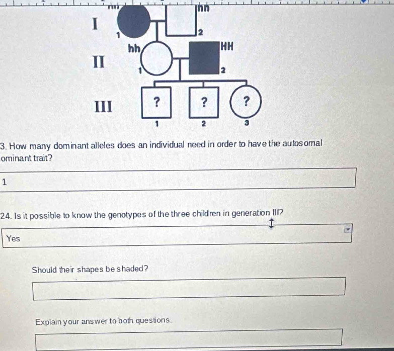 How many dominant alleles does an individual need in order to have the autosomal
ominant trait?
1
24. Is it possible to know the genotypes of the three children in generation III?
Yes
Should their shapes be shaded?
Explain your answer to both questions.