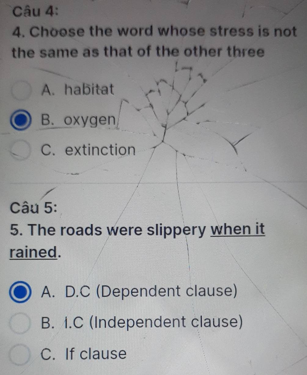 Choose the word whose stress is not
the same as that of the other three
A. habitat
B. oxygen
C. extinction
Câu 5:
5. The roads were slippery when it
rained.
A. D.C (Dependent clause)
B. 1.C (Independent clause)
C. If clause