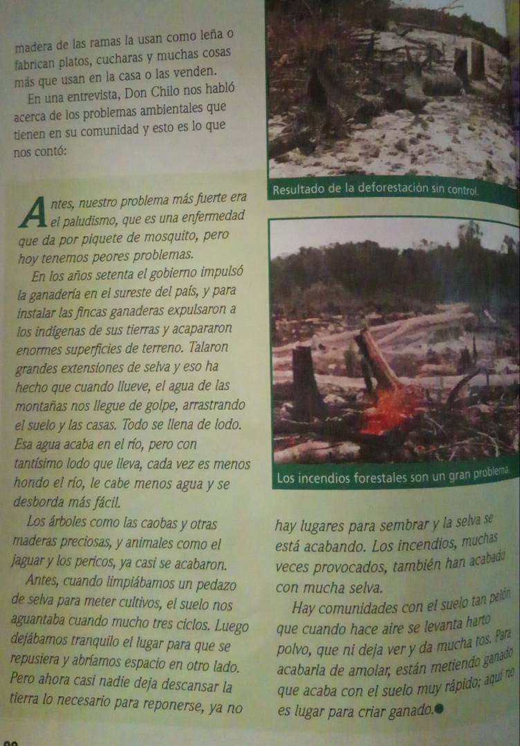 madera de las ramas la usan como leña o
fabrican platos, cucharas y muchas cosas
más que usan en la casa o las venden.
En una entrevista, Don Chilo nos habló
acerca de los problemas ambientales que
tienen en su comunidad y esto es lo que
nos contó:
ntes, nuestro problema más fuerte era
A el paludismo, que es una enfermedad
que da por piquete de mosquito, pero
hoy tenemos peores problemas.
En los años setenta el gobierno impulsó
la ganadería en el sureste del país, y para
instalar las fincas ganaderas expulsaron a
los indigenas de sus tierras y acapararon
enormes superficies de terreno. Talaron
grandes extensiones de selva y eso ha
hecho que cuando llueve, el agua de las
montañas nos llegue de golpe, arrastrando
el suelo y las casas. Todo se llena de lodo.
Esa agua acaba en el río, pero con
tantísimo lodo que lleva, cada vez es menos
hondo el río, le cabe menos agua y se a
desborda más fácil.
Los árboles como las caobas y otras hay lugares para sembrar y la selva se
maderas preciosas, y animales como el está acabando. Los incendios, muchas
jaguar y los pericos, ya casi se acabaron. veces provocados, también han acabadó
Antes, cuando limpiábamos un pedazo con mucha selva.
de selva para meter cultivos, el suelo nos Hay comunidades con el suelo tan pelón
aguantaba cuando mucho tres ciclos. Luego que cuando hace aire se levanta harto
dejábamos tranquilo el lugar para que se polvo, que ni deja ver y da mucha tos. Para
repusiera y abríamos espacio en otro lado. acabarla de amolar, están metiendo ganado
Pero ahora casi nadie deja descansar la que acaba con el suelo muy rápido; aquí no
tierra lo necesario para reponerse, ya no es lugar para criar ganado.