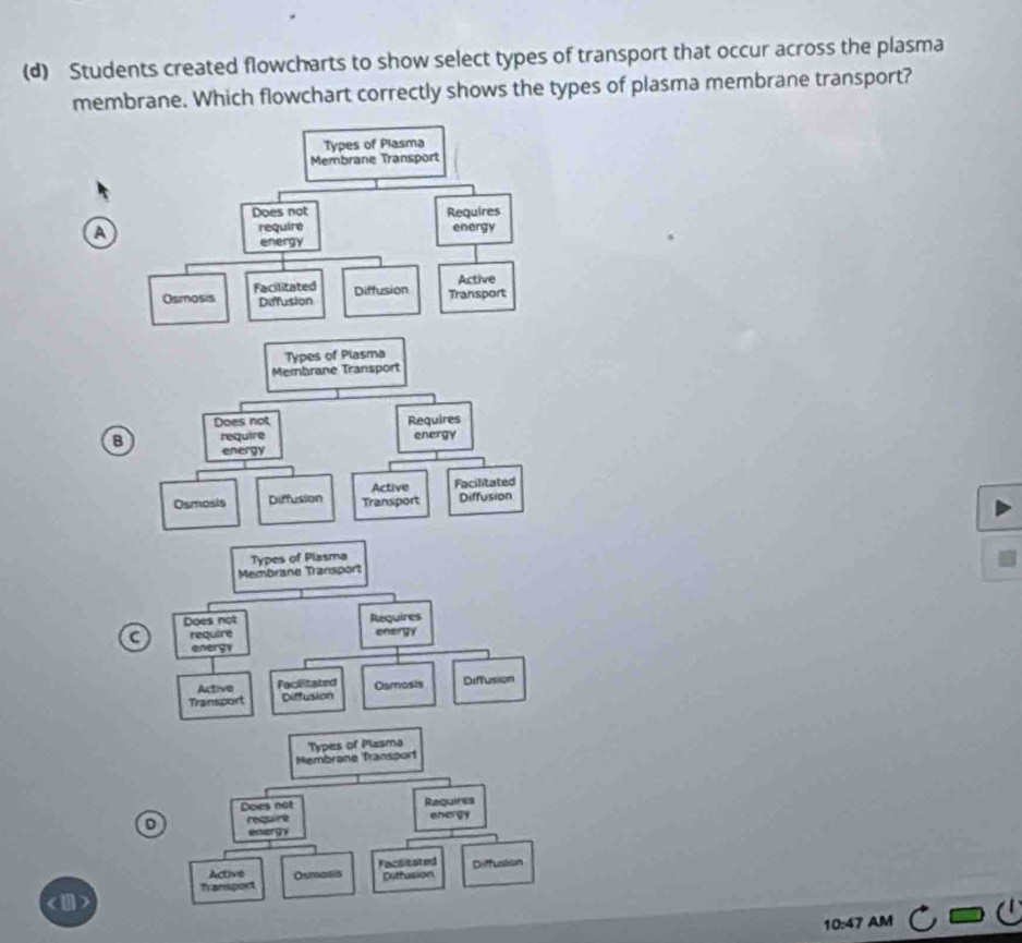 Solved: Students created flowcharts to show select types of transport ...