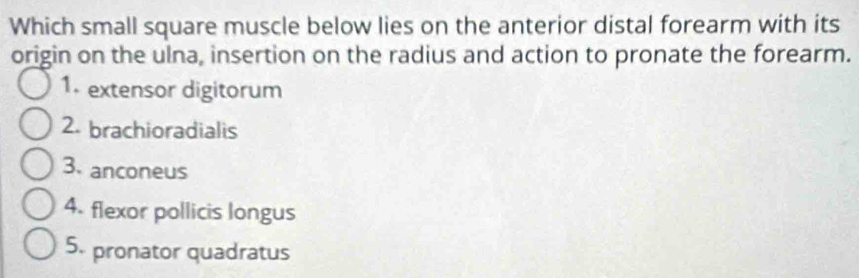 Which small square muscle below lies on the anterior distal forearm with its 
origin on the ulna, insertion on the radius and action to pronate the forearm. 
1. extensor digitorum 
2. brachioradialis 
3. anconeus 
4. flexor pollicis longus 
5. pronator quadratus