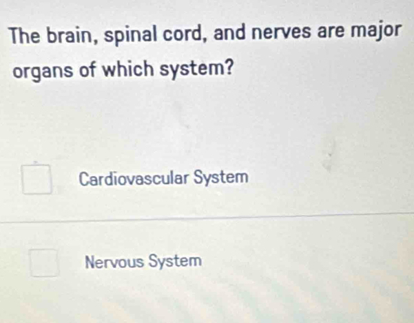 The brain, spinal cord, and nerves are major
organs of which system?
Cardiovascular System
Nervous System