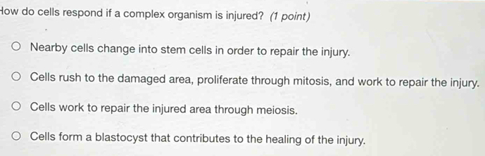 How do cells respond if a complex organism is injured? (1 point)
Nearby cells change into stem cells in order to repair the injury.
Cells rush to the damaged area, proliferate through mitosis, and work to repair the injury.
Cells work to repair the injured area through meiosis.
Cells form a blastocyst that contributes to the healing of the injury.