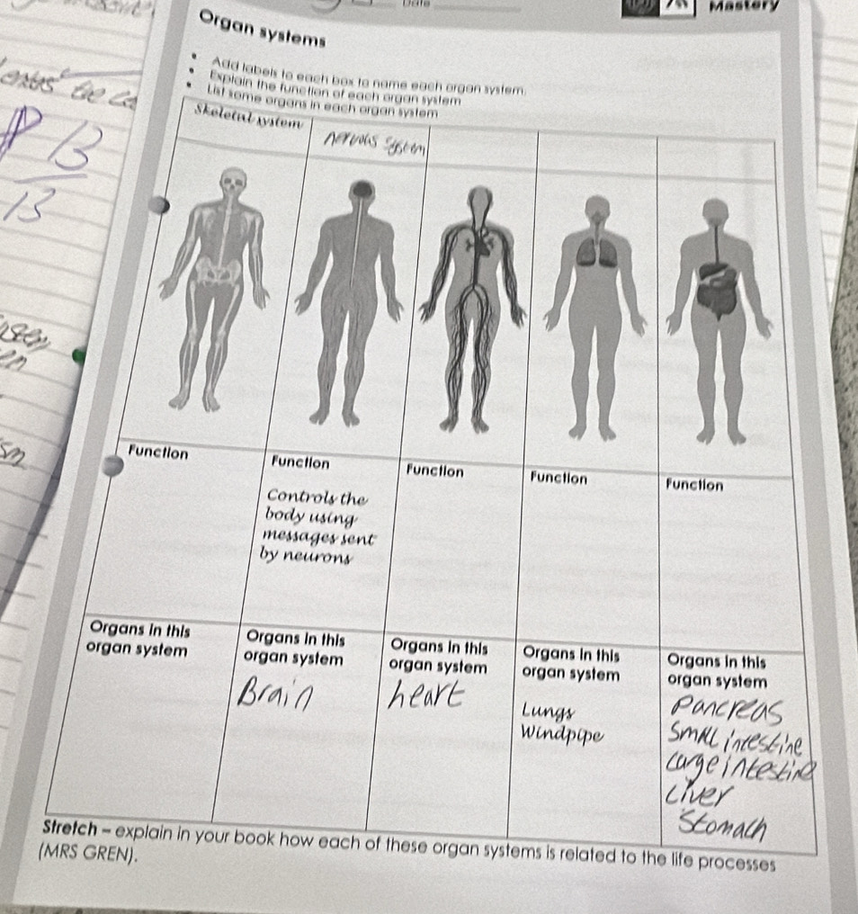 Mastery 
Organ systems 
Add labels 
(