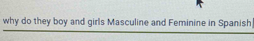 why do they boy and girls Masculine and Feminine in Spanish