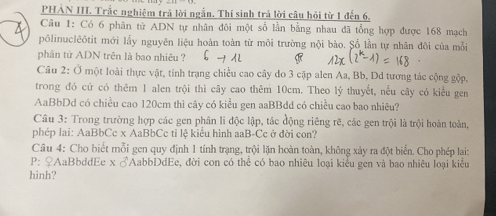 PHẢN III. Trắc nghiệm trả lời ngắn. Thí sinh trả lời câu hỏi từ 1 đến 6, 
Câu 1: Có 6 phân tử ADN tự nhân đôi một số lần bằng nhau đã tổng hợp được 168 mạch 
pôlinuclêôtit mới lấy nguyên liệu hoàn toàn từ môi trường nội bào. Số lần tự nhân đôi của mỗi 
phân tử ADN trên là bao nhiêu ? 
Câu 2: Ở một loài thực vật, tính trạng chiều cao cây do 3 cặp alen Aa, Bb, Dd tương tác cộng gộp, 
trong đó cứ có thêm 1 alen trội thì cây cao thêm 10cm. Theo lý thuyết, nều cây có kiểu gen 
AaBbDd có chiều cao 120cm thì cây có kiều gen aaBBdd có chiều cao bao nhiêu? 
Câu 3: Trong trường hợp các gen phân li độc lập, tác động riêng rẽ, các gen trội là trội hoàn toàn, 
phép lai: AaBbCc x AaBbCc tỉ lệ kiểu hình aaB-Cc ở đời con? 
Câu 4: Cho biết mỗi gen quy định 1 tính trạng, trội lặn hoàn toàn, không xảy ra đột biển. Cho phép lai: 
P: ♀AaBbddEe x ♂AabbDdEe, đời con có thể có bao nhiêu loại kiểu gen và bao nhiêu loại kiểu 
hinh?