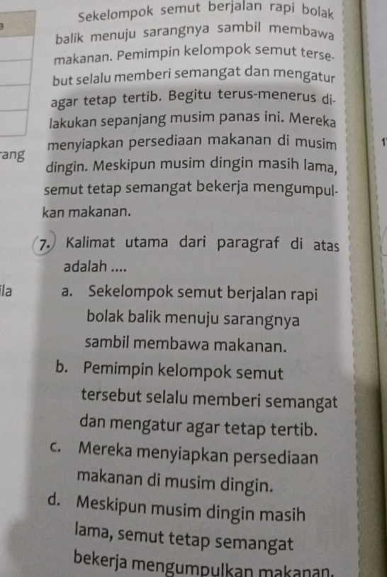 Sekelompok semut berjalan rapi bolak
balik menuju sarangnya sambil membawa
makanan. Pemimpin kelompok semut terse-
but selalu memberi semangat dan mengatur
agar tetap tertib. Begitu terus-menerus di-
lakukan sepanjang musim panas ini. Mereka
ang menyiapkan persediaan makanan di musim 1
dingin. Meskipun musim dingin masih lama,
semut tetap semangat bekerja mengumpul-
kan makanan.
7. Kalimat utama dari paragraf di atas
adalah ....
ila a. Sekelompok semut berjalan rapi
bolak balik menuju sarangnya
sambil membawa makanan.
b. Pemimpin kelompok semut
tersebut selalu memberi semangat
dan mengatur agar tetap tertib.
c. Mereka menyiapkan persediaan
makanan di musim dingin.
d. Meskipun musim dingin masih
lama, semut tetap semangat
bekerja mengumpulkan makananı