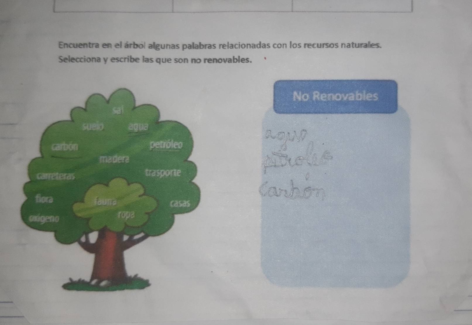 Encuentra en el árbol algunas palabras relacionadas con los recursos naturales. 
Selecciona y escribe las que son no renovables. 
No Renovables