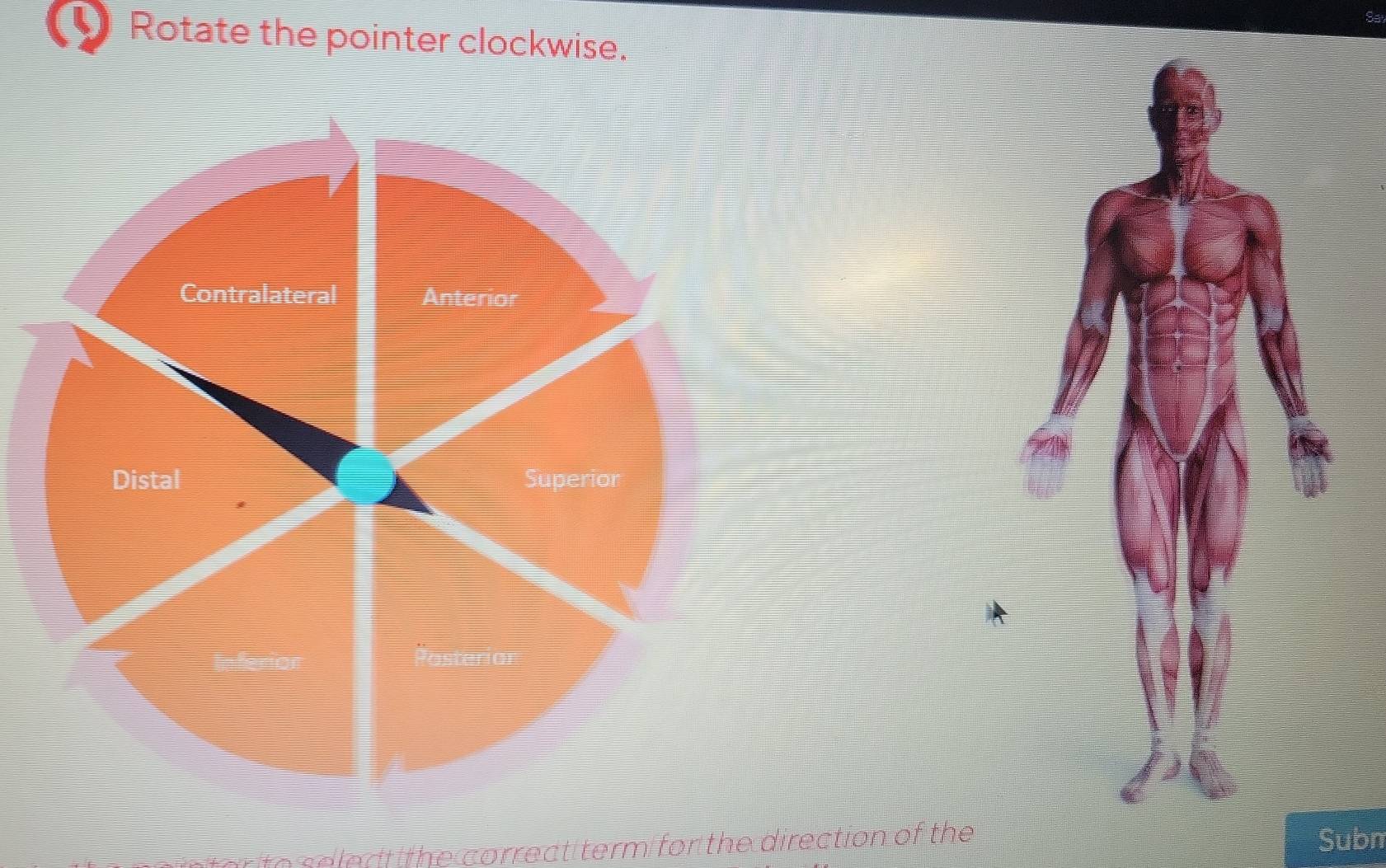 Rotate the pointer clockwise. 
ar te s e ed the correct term for the direction of the Subn