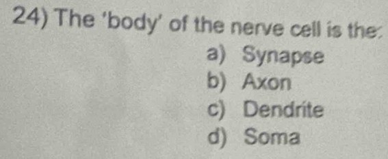 The 'body' of the nerve cell is the:
a) Synapse
b) Axon
c) Dendrite
d) Soma