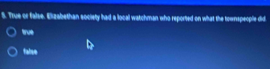 True or false. Elizabethan society had a local watchman who reported on what the townspeople did
true
false