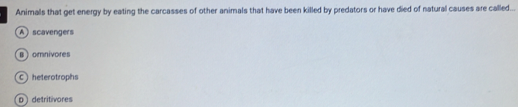 Animals that get energy by eating the carcasses of other animals that have been killed by predators or have died of natural causes are called...
A scavengers
B omnivores
C heterotrophs
D detritivores