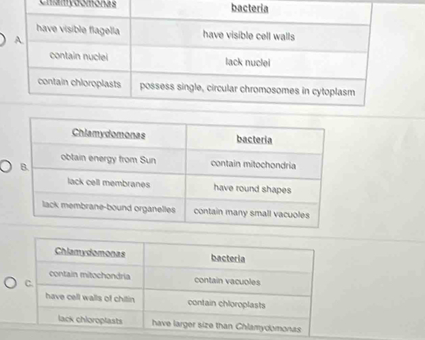 Cmamydomonas