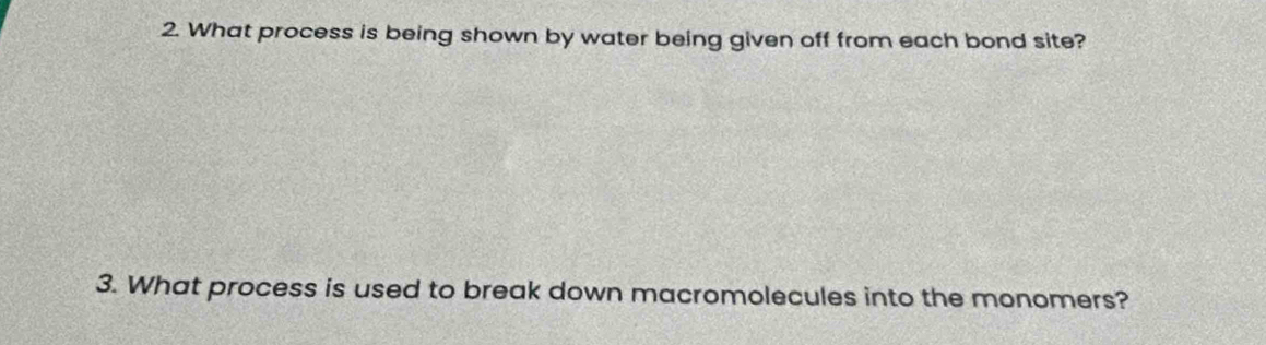 What process is being shown by water being given off from each bond site? 
3. What process is used to break down macromolecules into the monomers?