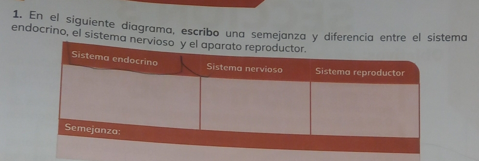 En el síguiente diagrama, escribo una semejanza y dma 
endocrino, el siste