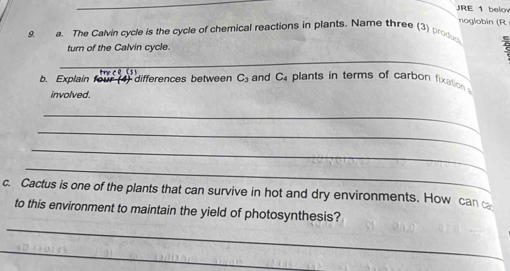 JRE 1 belov 
noglobin (R 
9. a. The Calvin cycle is the cycle of chemical reactions in plants. Name three (3) produc 
turn of the Calvin cycle. 
_ 
b. Explain four (4) differences between C_3 and C_4 plants in terms of carbon fixation 
involved. 
_ 
_ 
_ 
_ 
c. Cactus is one of the plants that can survive in hot and dry environments. How can c 
_ 
to this environment to maintain the yield of photosynthesis? 
_