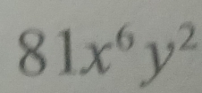 81x^6y^2