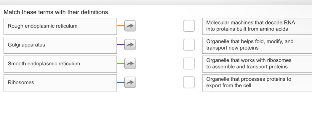 Match these terms with their definitions.
Molecular machines that decode RNA
Rough endoplasmic reticulum
into proteins built from amino acids
Organelle that helps fold, modify, and
Golgi apparatus transport new proteins
Organelle that works with ribosomes
Smooth endoplasmic reticulum
to assemble and transport proteins
Organelle that processes proteins to
Ribosomes
export from the cell