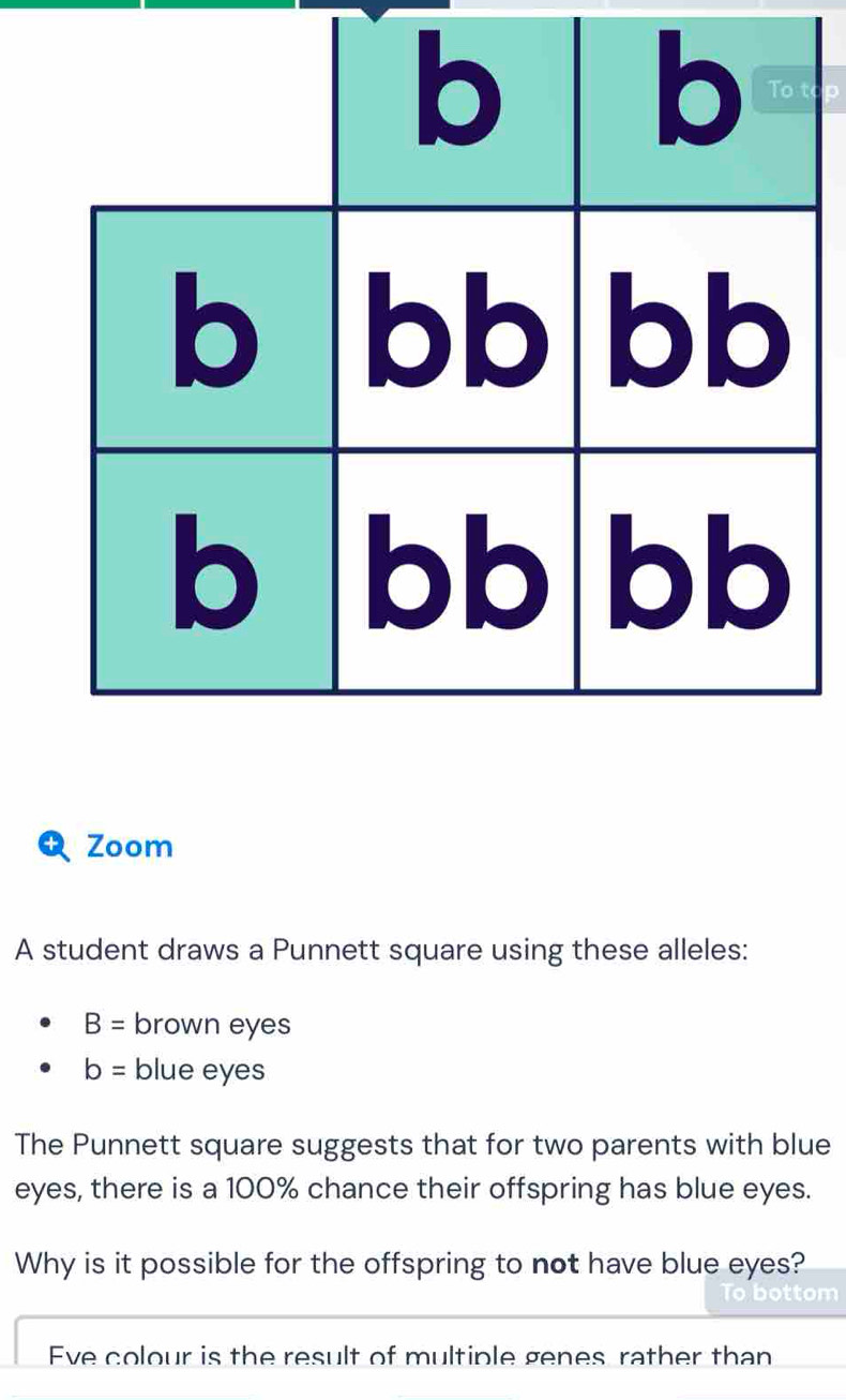 Zoom 
A student draws a Punnett square using these alleles:
B= brown eyes
b= blue eyes 
The Punnett square suggests that for two parents with blue 
eyes, there is a 100% chance their offspring has blue eyes. 
Why is it possible for the offspring to not have blue eyes? 
t om 
Eve colour is the result of multiple genes rather than