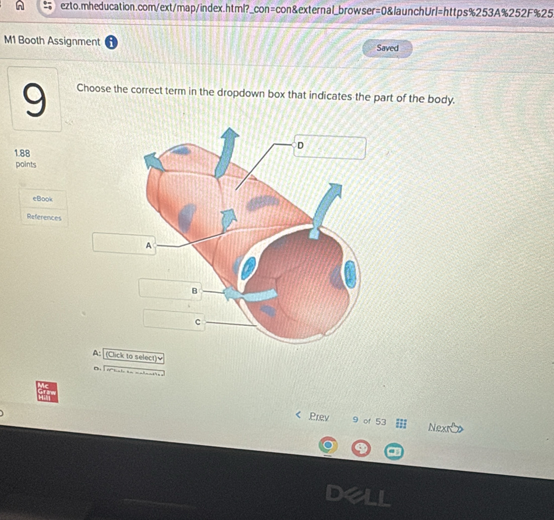 M1 Booth Assignment 
Saved 
9 
Choose the correct term in the dropdown box that indicates the part of the body.
1.88
points 
eBook 
References 
(Click to select) 
D 
Prev 9 of 53 Next 
a