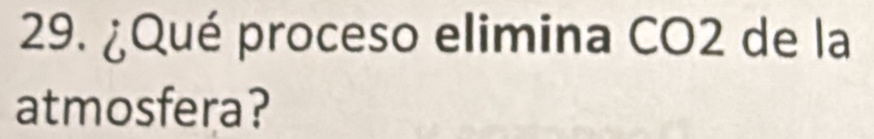 ¿Qué proceso elimina CO2 de la 
atmosfera?